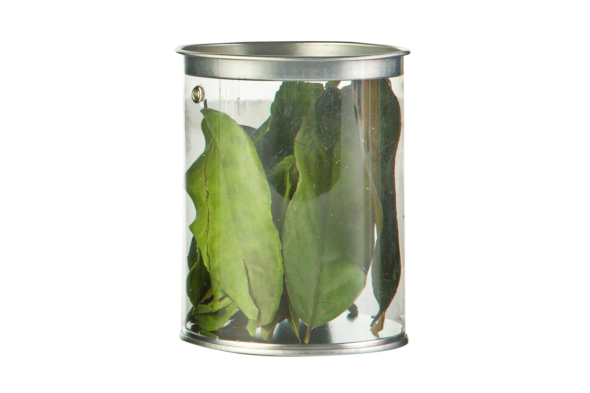 Guayusa dried or micro pulverized